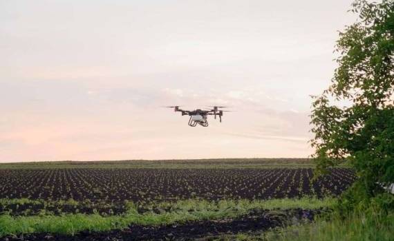 Инновационный способ опрыскивания с помощью дрона используют виноделы - agroexpert.md