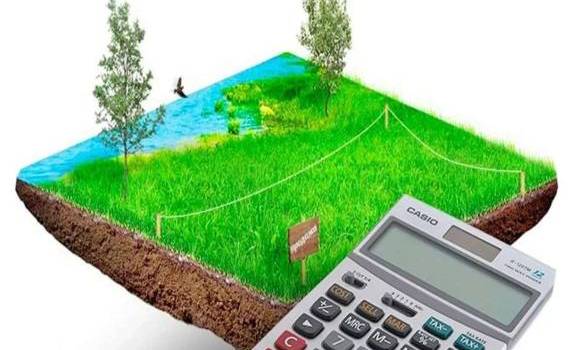 01 июля 2024 г. - срок уплаты налога на недвижимость/земельного налога - agroexpert.md