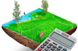 01 июля 2024 г. - срок уплаты налога на недвижимость/земельного налога - agroexpert.md