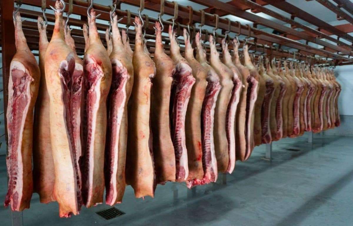 Китай начал антидемпинговое расследование в отношении импорта свинины из ЕС - agroexpert.md