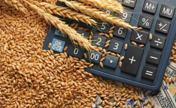 Prețul grâului s-a prăbușit pe bursele internaționale - agroexpert.md