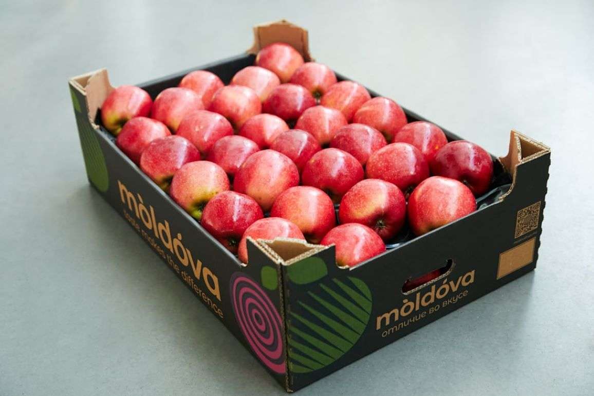 Экспорт яблока из РМ в 2023/24 МГ будет одним из самых низких в пятилетии - agroexpert.md