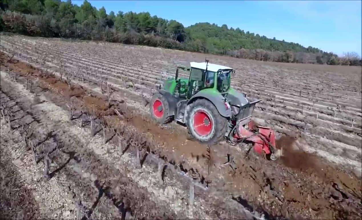 Во Франции увеличат финансирование на выкорчевывание виноградников в Бордо - agroexpert.md