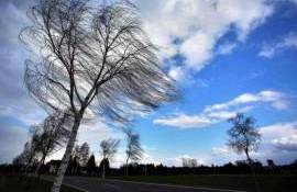 Vânt puternic! Meteorologii au emis Cod Galben - agroexpert.md