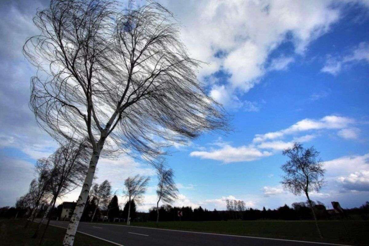 Vânt puternic! Meteorologii au emis Cod Galben - agroexpert.md