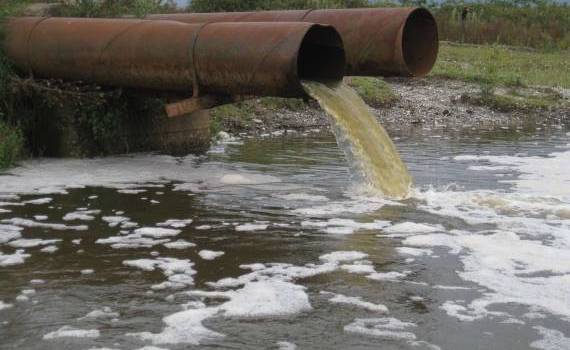 Râul Nistru este poluat pe sectorul din apropierea municipiului Bender - agroexpert.md