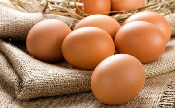 Ucraina va plăti taxe vamale pentru ouăle exportate în UE - agroexpert.md