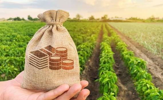 Fondul de subvenționare ar putea fi majorat MAIA - agroexpert.md