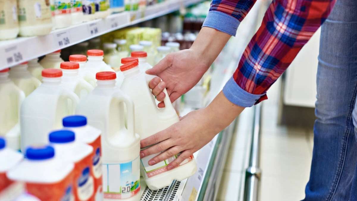 Promisiuni: Până în 2029, 50% din produsele lactate vor fi moldovenești - agroexpert.md