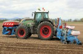 Как способ внесения фосфорных удобрений влияет на их эффективность - agroexpert.md