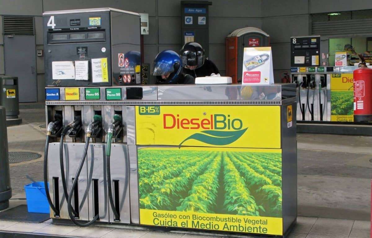 Мировое производство биодизеля растет – установлен новый рекорд - agroexpert.md