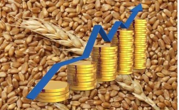 Минсельхоз РФ прогнозирует увеличение мировых цен на зерно - agroexpert.md