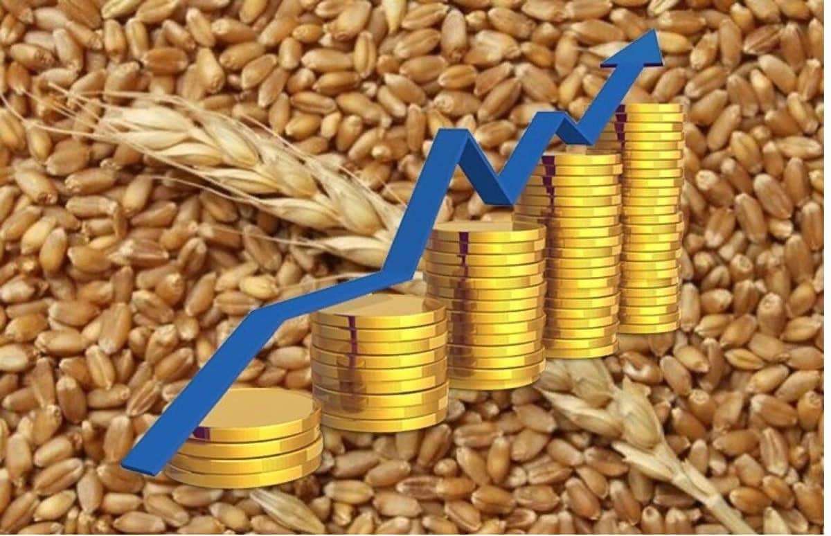 Минсельхоз РФ прогнозирует увеличение мировых цен на зерно - agroexpert.md