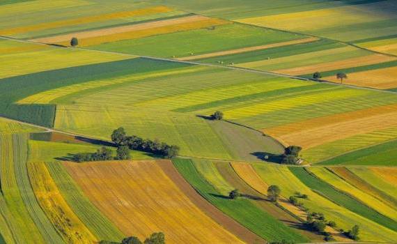 Expert: Cum ne pierdem competitivitatea din cauza costului ridicat al terenurilor - agroexpert.md