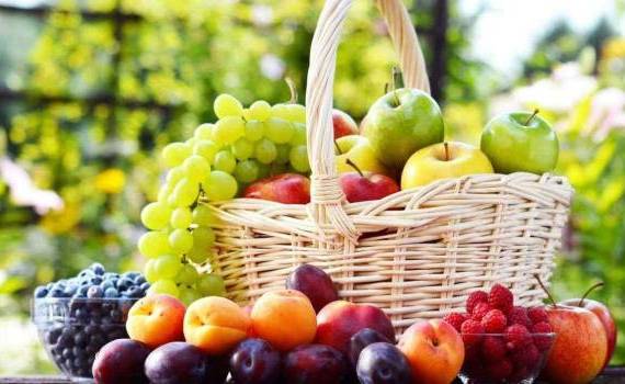 Fructele moldovenești sunt tot mai solicitate pe piața din UE - agroexpert.md
