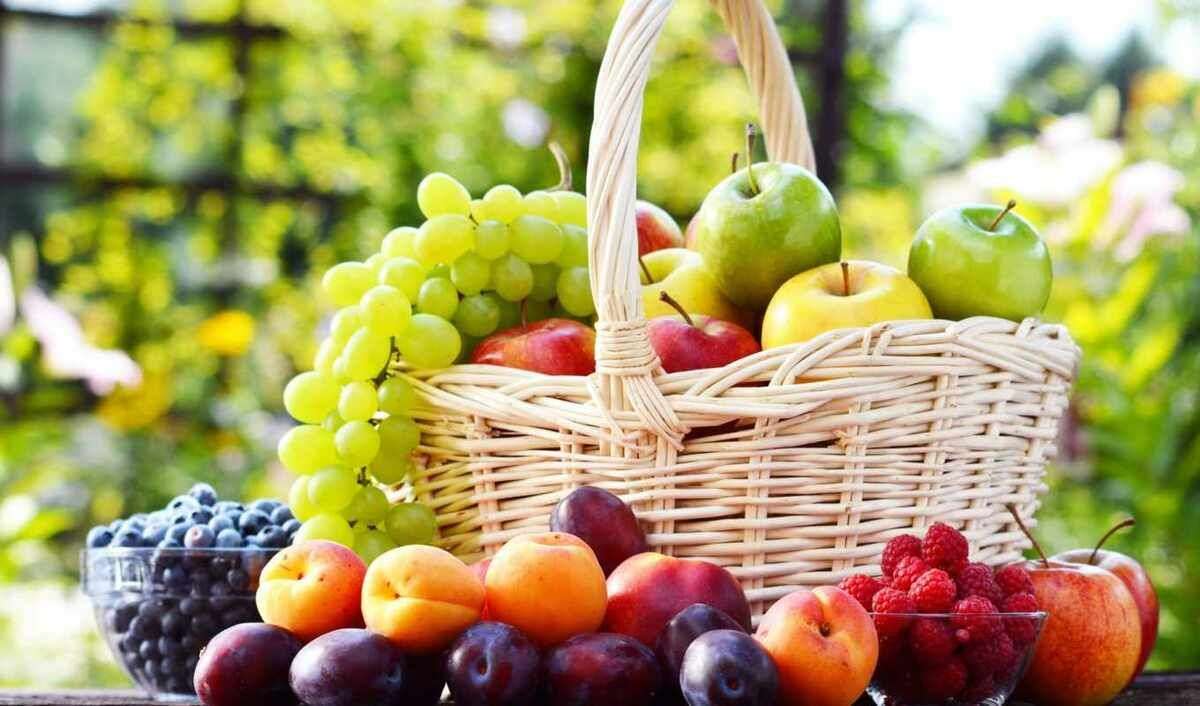 Fructele moldovenești sunt tot mai solicitate pe piața din UE - agroexpert.md