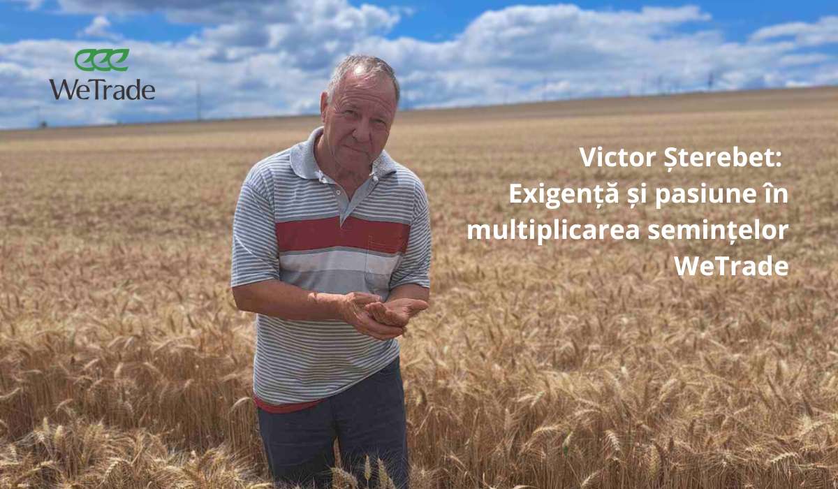 Victor Șterebet: Exigență și pasiune în multiplicarea semințelor WeTrade - agroexpert.md