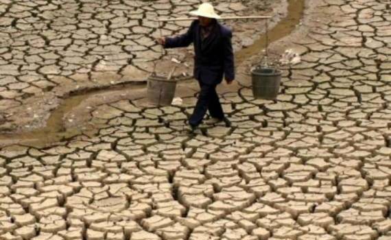 Жара в Китае достигла максимума: высыхают водохранилища и гибнут посевы - agroexpert.md