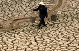 Жара в Китае достигла максимума: высыхают водохранилища и гибнут посевы - agroexpert.md