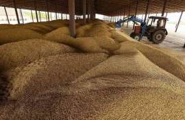 «СовЭкон» прогнозирует падение производства и экспорта зерна из Украины на 25% - agroexpert.md