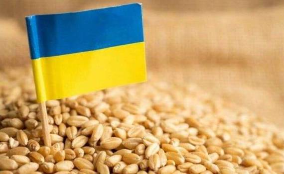 Cerealele ucrainene care tranzitează RM vor fi scutite de controlul ANSA - agroexpert.md