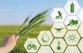 Ziua Antreprenorului 27 iunie - agroexpert.md