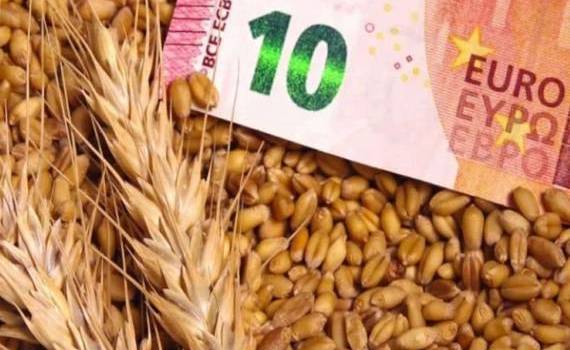 Цены на пшеницу в ЕС растут из-за высокого спроса - agroexpert.md