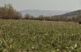 În R. Moldova ar putea fi introduse planurile de management al pajiștilor - agroexpert.md