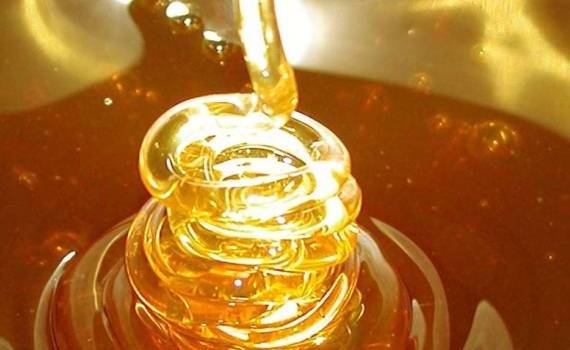 Изменились правила экспорта меда в ЕС - agroexpert.md