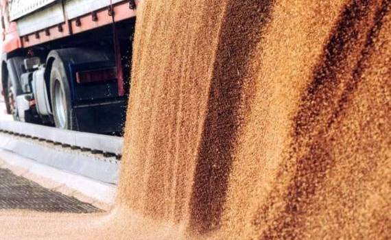 Вступили в силу запретительные пошлины ЕС на российское и белорусское зерно - agroexpert.md