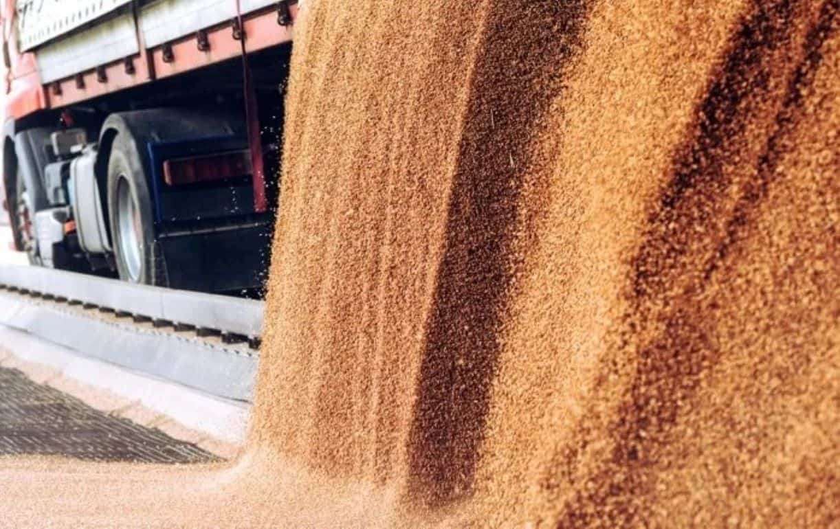 Вступили в силу запретительные пошлины ЕС на российское и белорусское зерно - agroexpert.md
