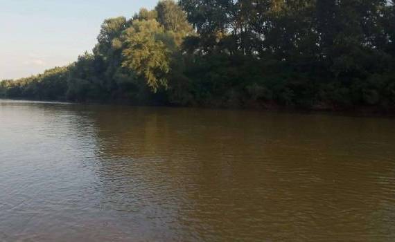 Cod Galben: Nivelul apelor din râurile din țară, în scădere - agroexpert.md