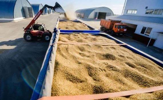 Основные факторы влияющие на цены зерновых и масличных в Украине - agroexpert.md