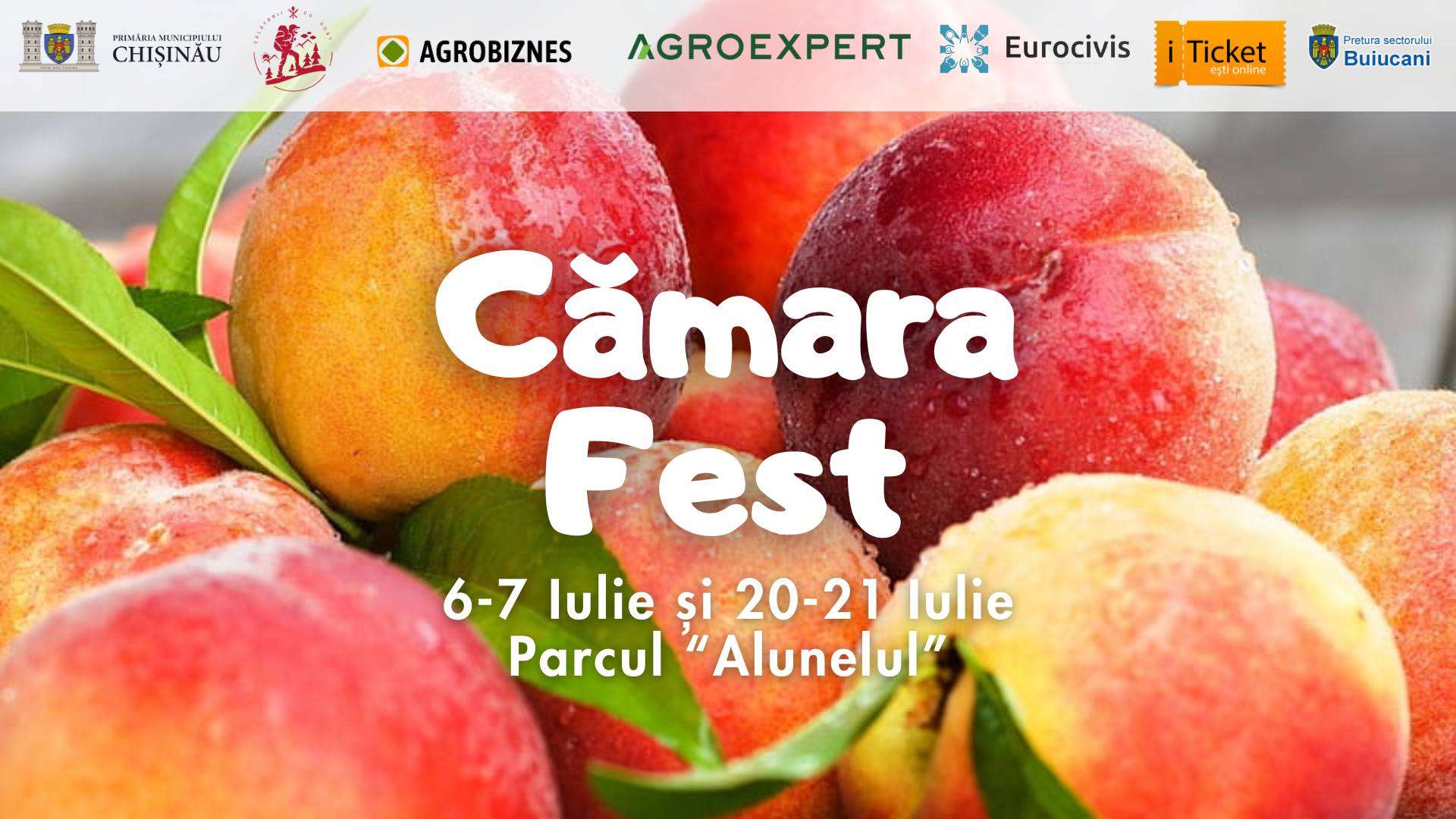 Un nou târg Cămara Fest: Ce produse autohtone vor putea fi găsite - agroexpert.md