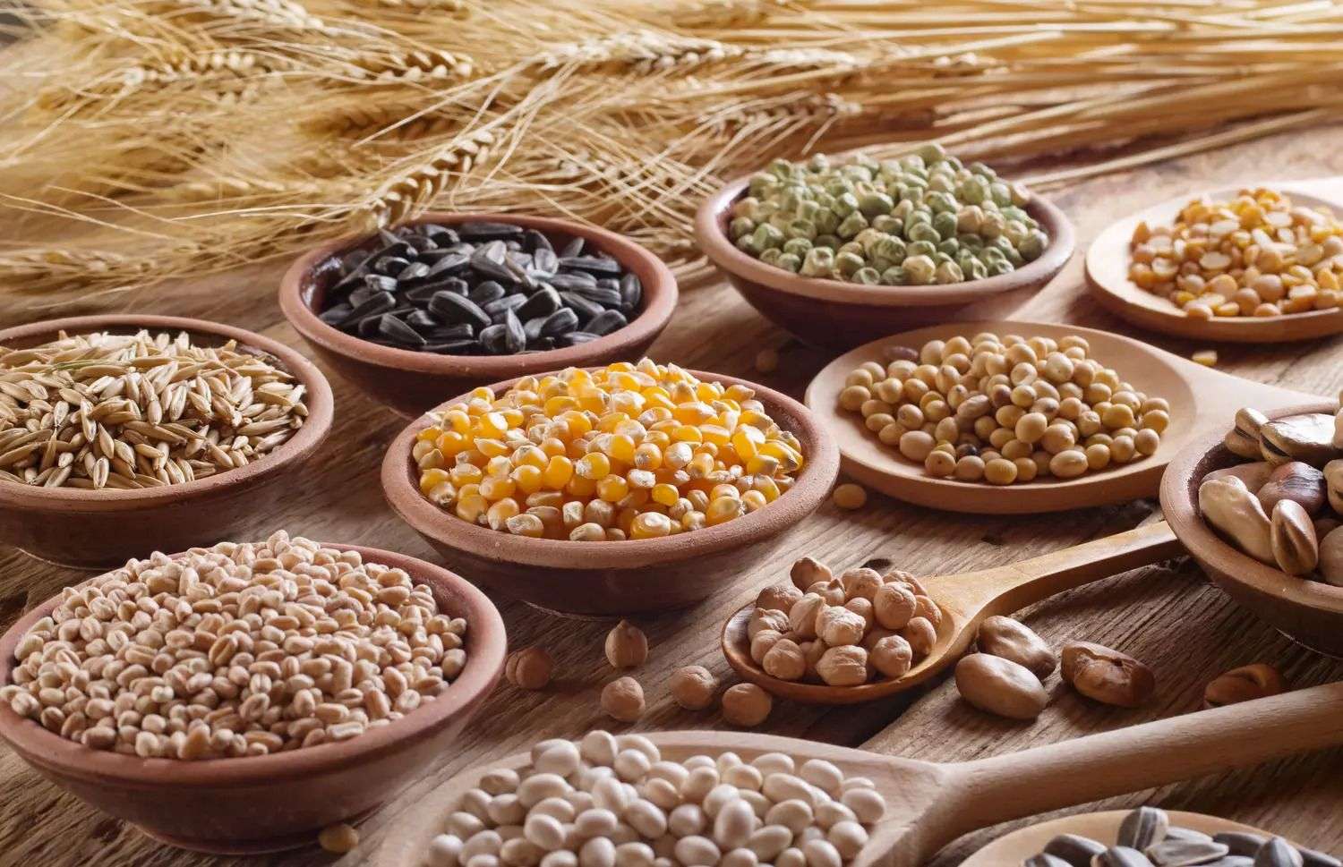 Votat de Parlament: Importul de cereale și oleaginoase va fi licențiat - agroexpert.md