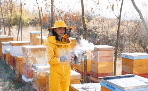 afacere apicultoare Rezina - agroexpert.md