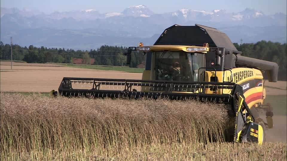 Lucrările agricole pentru luna iulie: Ce trebuie să știe agricultorii  - agroexpert.md