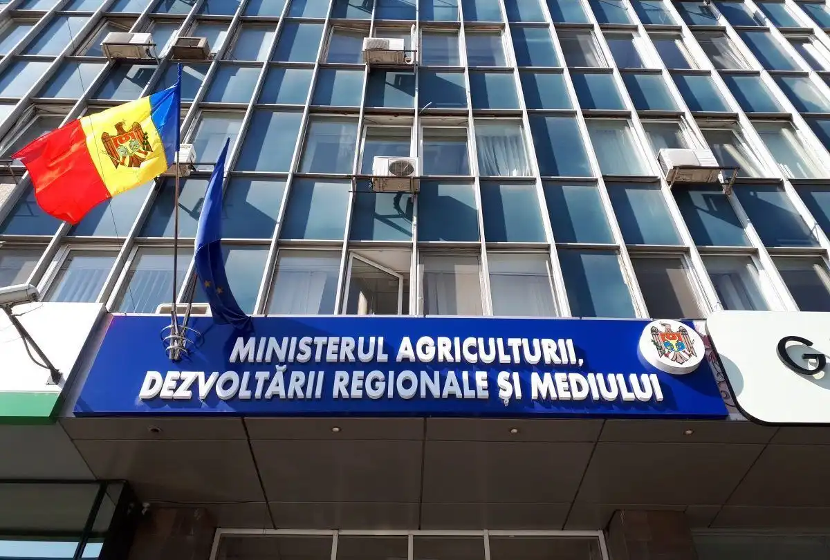 В Национальном экологическом фонде Молдовы не хватает кадров