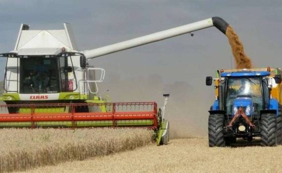 ФАО в 2024 году ожидает рекордного мирового производства зерновых - agroexpert.md  