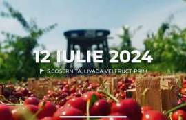 O zi până la evenimentul „Ziua Fructelor”: Iată ce program te așteaptă