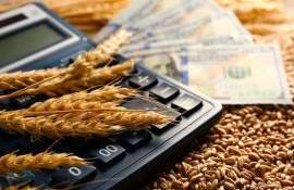 Индия увеличила импорт российской агропродукции в 22 раза - agroexpert.md