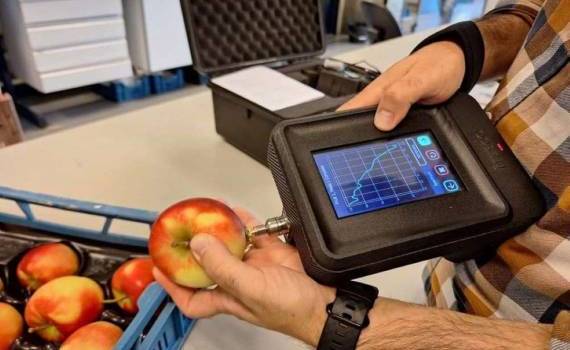 Микроволны могут задать новый стандарт для измерения качества яблок - agroexpert.md
