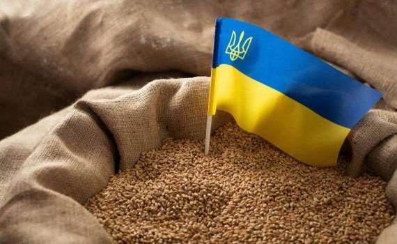 Excepție temporară de la controlul ANSA pentru cerealele ucrainene în tranzit - agroexpert.md