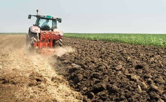 Особенности основной обработки почвы под яровые в летне-осенний период - agroexpert.md