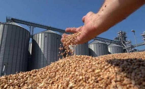 Турция снизит импорт пшеницы до 6-летнего минимума – USDA - agroexpert.md
