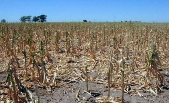Slusari: Trebuie declarată starea de urgență în agricultură - agroexpert.md