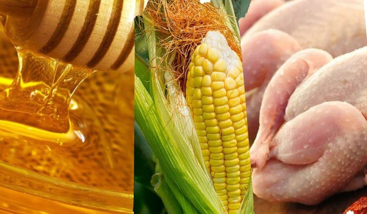 Евросоюз может ввести пошлины еще на три вида агропродукции из Украины - agroexpert.md