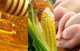 Евросоюз может ввести пошлины еще на три вида агропродукции из Украины - agroexpert.md