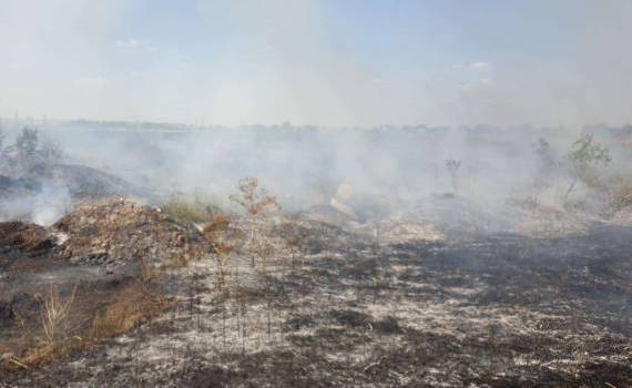 Incendiul care a cuprins pădurea de la marginea Cahulului a fost stins - agroexpert.md