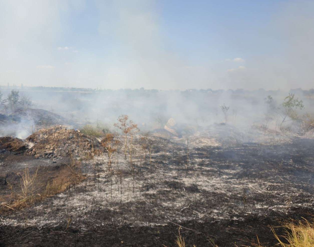 Incendiul care a cuprins pădurea de la marginea Cahulului a fost stins - agroexpert.md